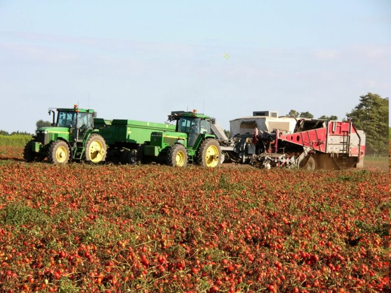 Agriculture