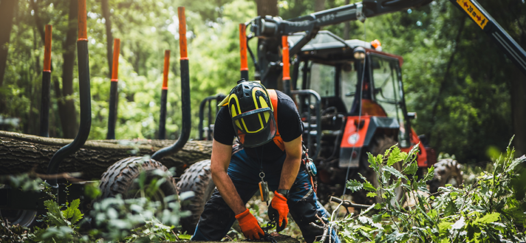 Forestry